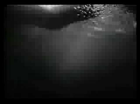 Jean Vigo's La Natation