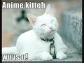 When Metal collides with Comedy.wmv