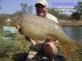 	  Here is a montage of the fish caught in the 2010 Autumn TOKS Big Four contest. Feel free to sign up for this great contest amongst anglers worldwide for carp fishing. Great prizes and FREE ENTRY !!    
