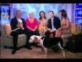 JC Monahan 2010'11'13 GMAw.mp4