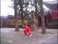 Liu He Man - Hei Hu Form
