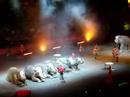 CIRCO RINGLEY BROTHERS&BARNUM AND BAILEY