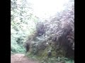 downhill calarca ( quindio )