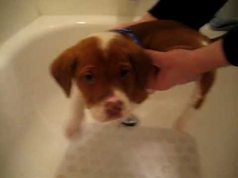 Cute video 