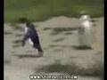 World's funniest videos