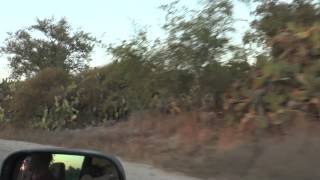 iNakba app - زيارة قرية كوفخة المهجرة / ביקור בכפר כופח'ה ההרוס/ Visiting Kawfakha