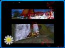 Shaiya Wedding [Full]