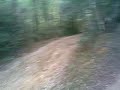 Hm penna in foristrada xD