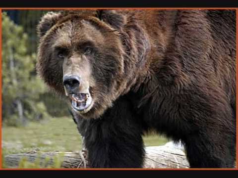 Reminder from Russia to America