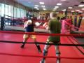 videos de Bright orange vs. Fancy pants