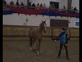 Haloubet de Gorze