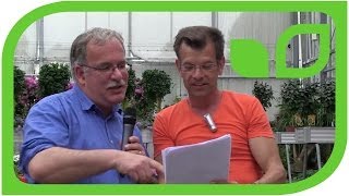 Karl Ploberger über Insektenhäuser