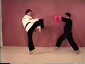 Turning Kick with Lauren Hofbauer Turning Kick with Lauren Hofbauer