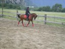 Les ballades avec ma bichette
