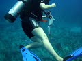 Antigua and Barbuda Video