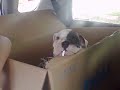 Winstons car ride . . .