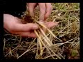 A Day... Metal detecting in Belgium