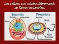 EN ESTE VIDEO HABLA SOBRE SUS PARTES QUE LA COMPONEN, BACTERIAS, SUS CARACTERISTICAS, EVOLUCION Y SOBRE LOS RIBOSOMAS. REALIZADO POR JOSE GUADALUPE GONZALEZ PEREZ, MANTTO. DE COMPUTO Y CONTROL DIGITAL 6204 D1.