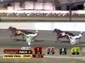 videos de Breeders Crown 2FP
