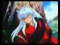 AMV AMV