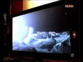 interview de danakil dans l'�mission paris derni�re sur paris premi�re le 25/01/2008. pr�sentation de son travail et de ses clips dont the micronauts 