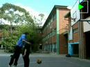 Eye Of The Tiger - Wiggs Tribute