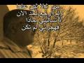 الطيور المهاجره