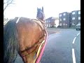 horse-extreme.html