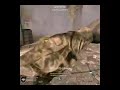 adios.ljungberg ace, all knife