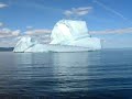 Icebergs White Bay