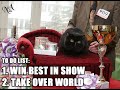 Caturday Vol. II