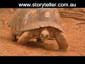 Part 7 Madagascar Island Ark - Before It's Too Late