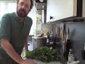 EatTheWeeds: Episode 05: Wild mustard greens EatTheWeeds: Episode 05: Wild mustard greens
