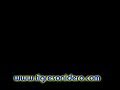 sonido condor by tigre sonidero
