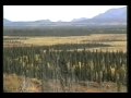 Alaska Bush Adventures.avi