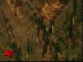 Raw Video: Calif. Wildfire Scorches 800 Homes