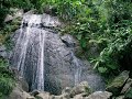 Reiki - Tranquility Reiki - Tranquility