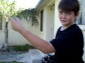 Davids Gmnastics