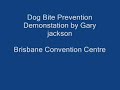 dog bite prevention brisbane convention centre