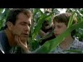 Trailer Sinais (Tema First Crop Circles)