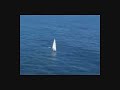 trailer trempulkawe gigantes del mar