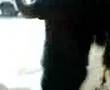 videos de Large guy screams like a girl