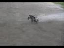 Slash Brushless w/ Sand Paddles