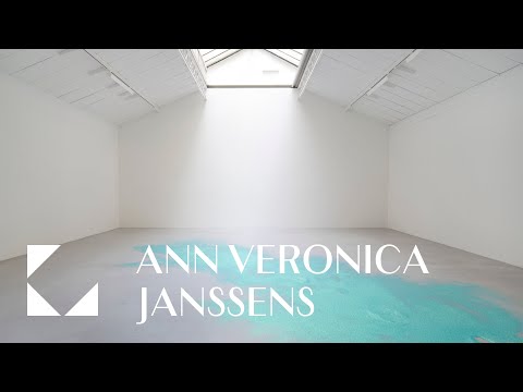 Ann Veronica Janssens - Galerie Kamel Mennour (2016)