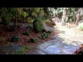 Shambhala Landscapes  2009 Projects       སྐྱེད་ཚལ་ཤམ་བྷ་ལ།