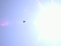 F-22 Raptor R/C EDF Jet 3nd Flight