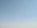 F-22 Raptor R/C EDF Jet 3nd Flight