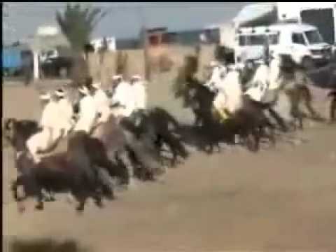 حادث رهيب بالمغرب (529 times)