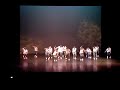 Mavyn @ SI3 Showcase