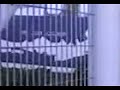 Escape de gases planta enaex Escape de gases planta enaex